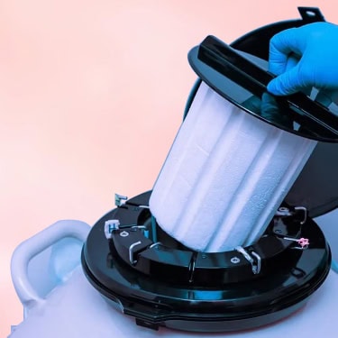 IUI –Intrauterine Insemination or Artificial Insemination (AI)